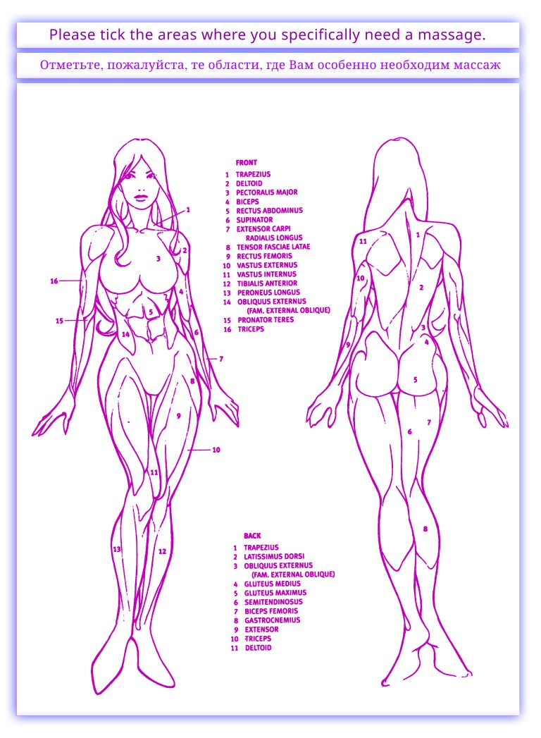 anatomy body kadın ön arka
