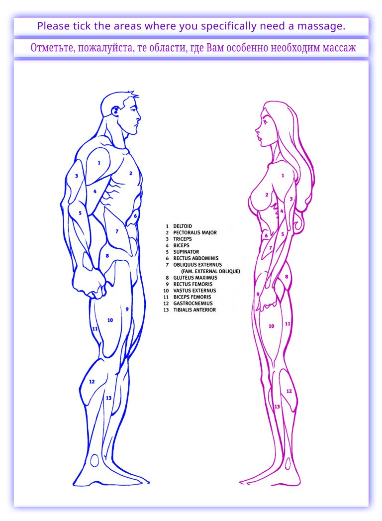 anatomy body yan kadınerkek